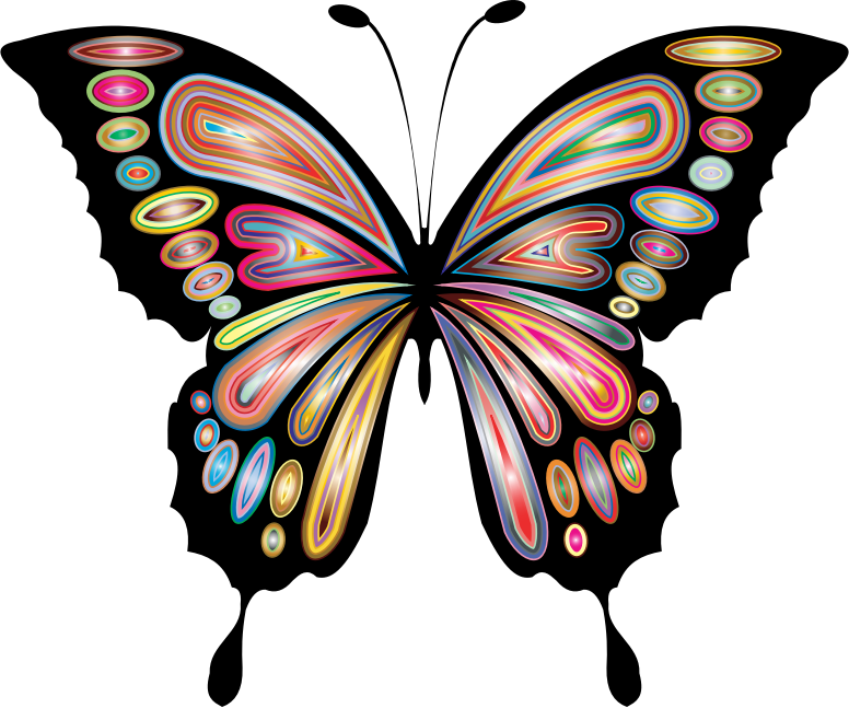 Prismatic Butterfly Remix 8