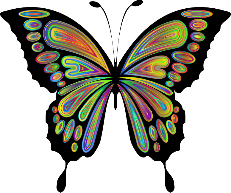 Prismatic Butterfly Remix 9