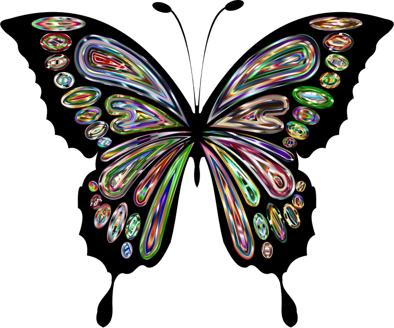 Prismatic Butterfly Remix 11