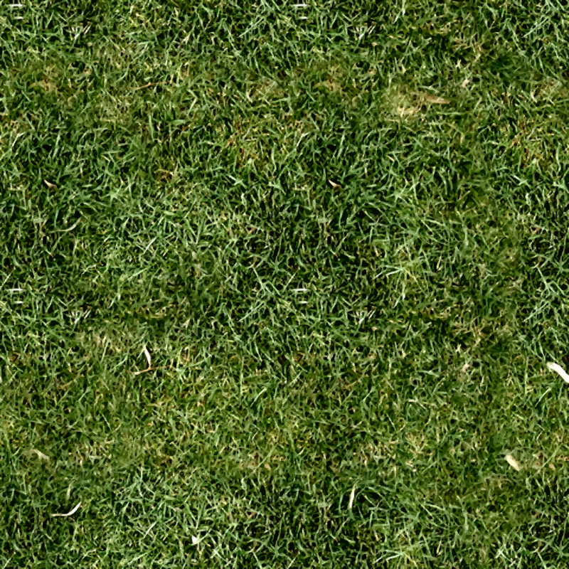 Grass 6