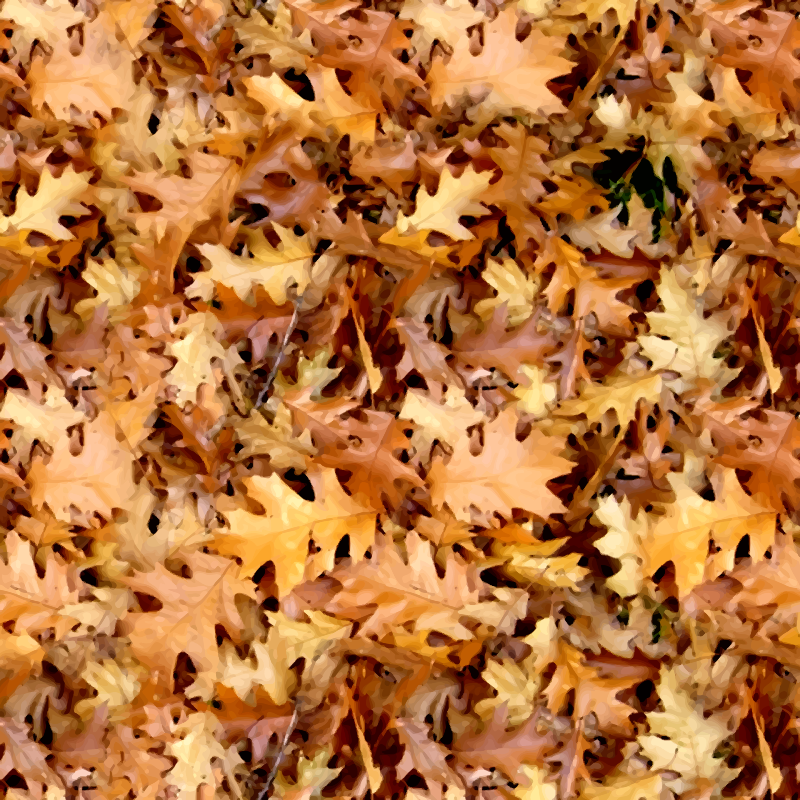 Autumn leaves 2