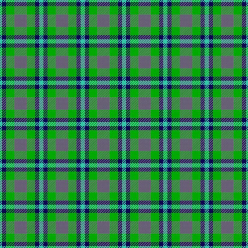 Tartan (colour 2)