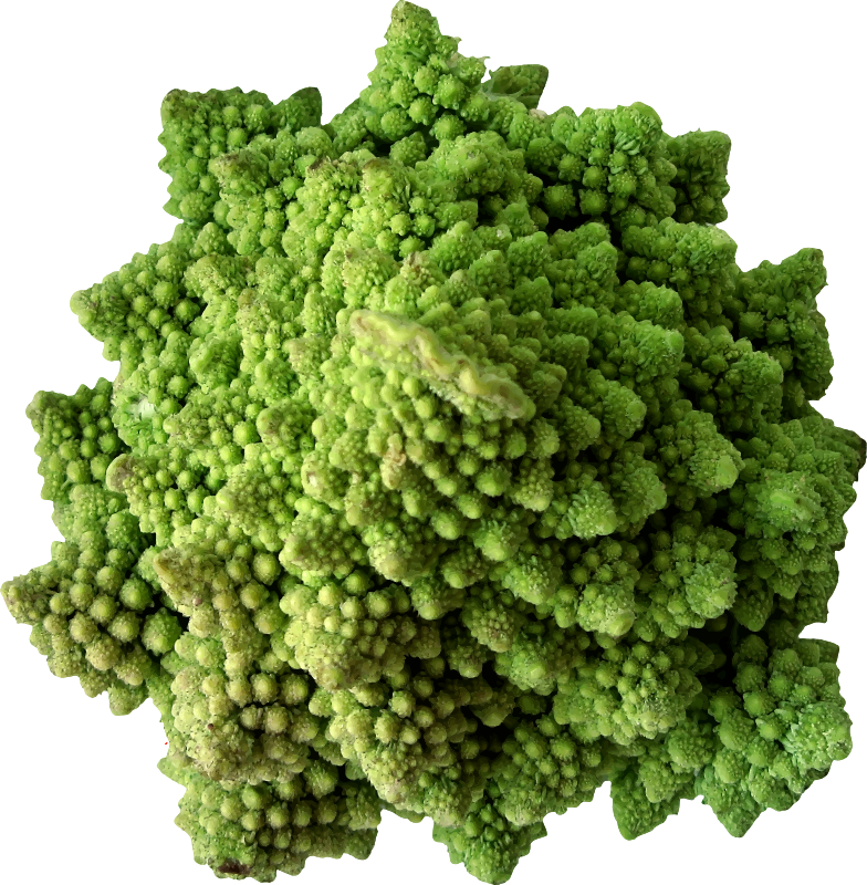 Cauliflower 2