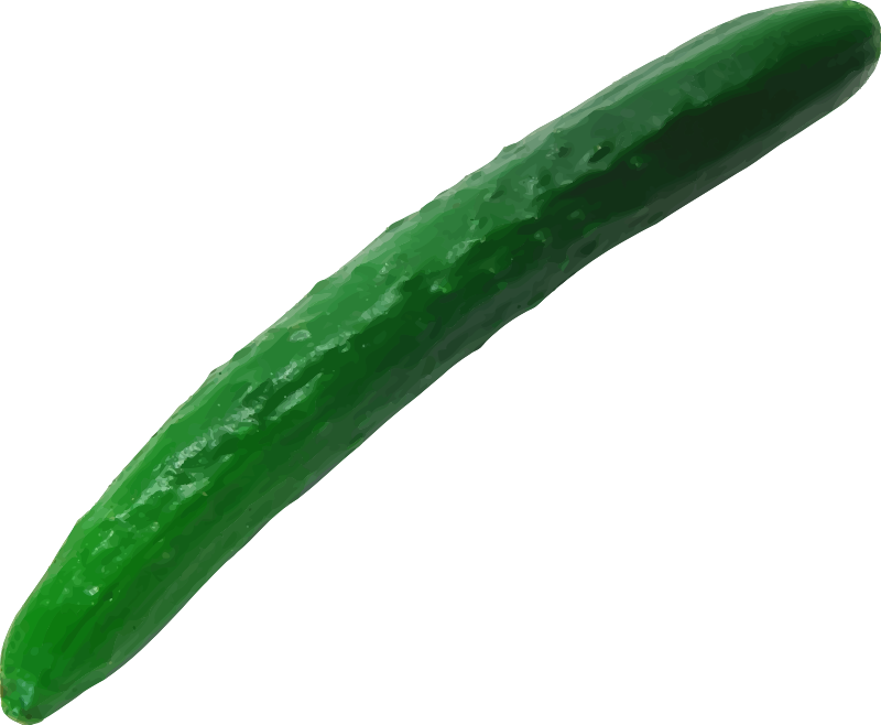 Cucumber