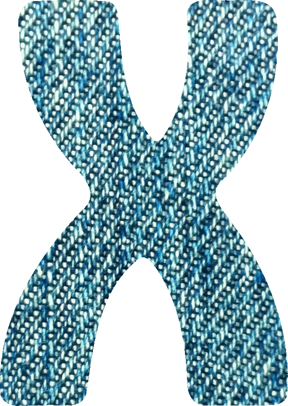 Denim alphabet, X