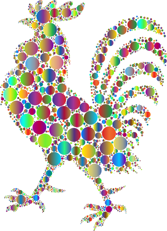 Prismatic Rooster Circles 3