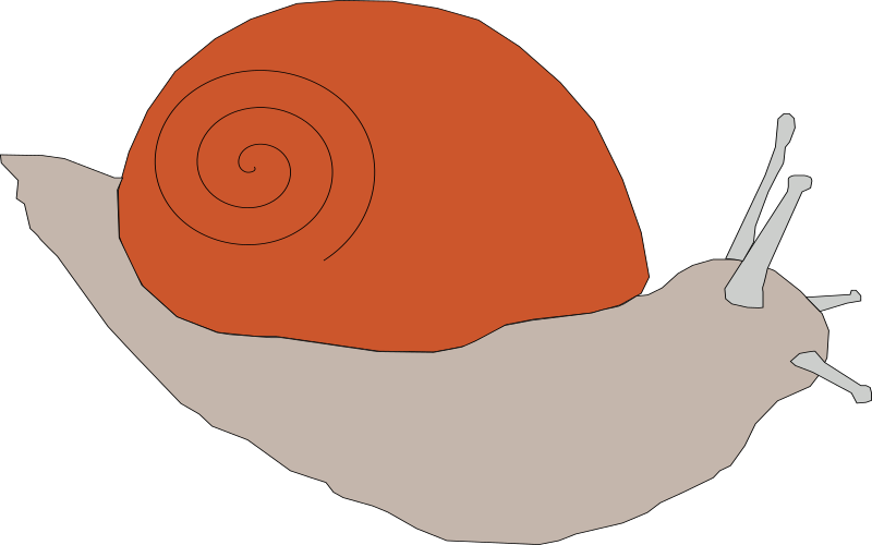 snail1