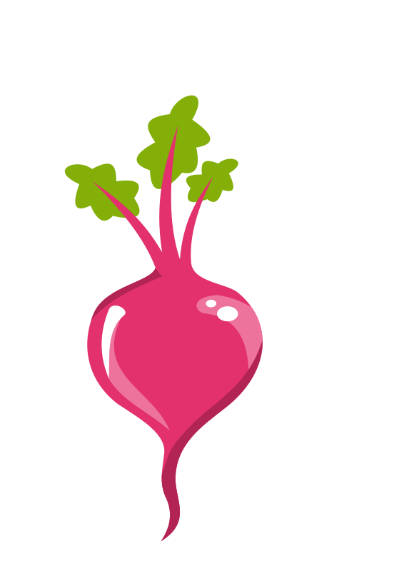 Beterraba Beets