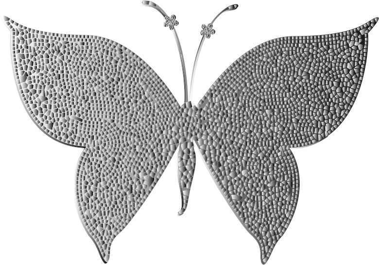 Monochromatic Tiled Butterfly