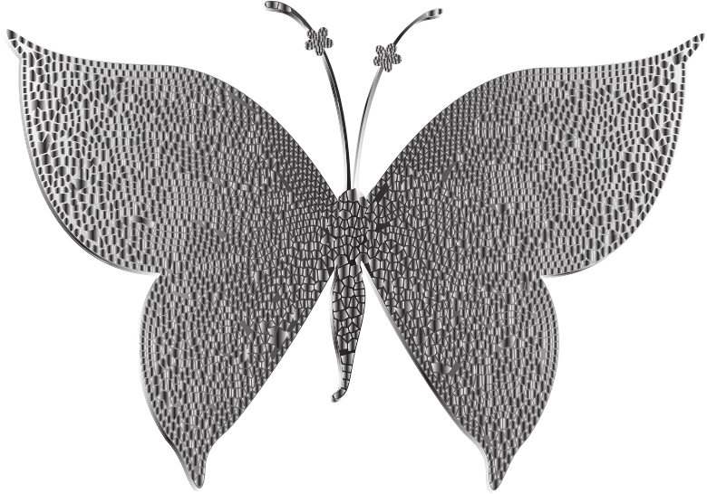 Monochromatic Tiled Butterfly 2