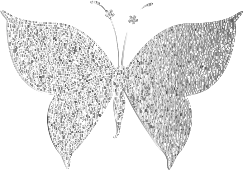 Monochromatic Tiled Butterfly 3