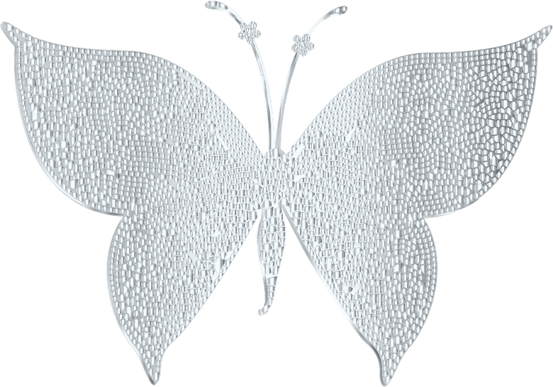 Silver Tiled Butterfly