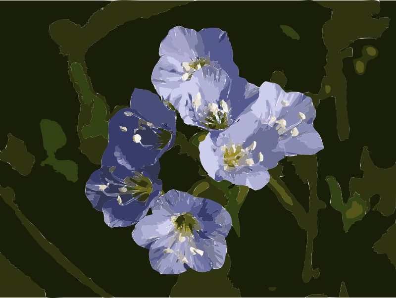 Polemonium reptans 2009