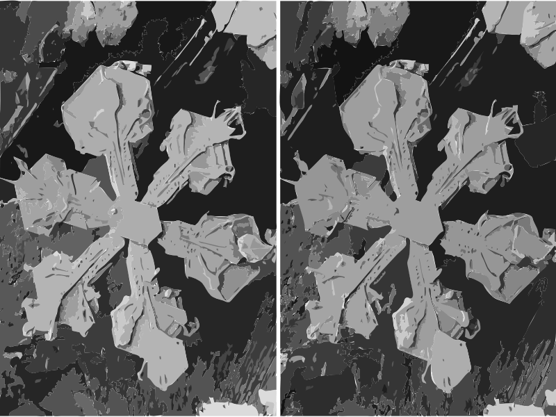 Stereo snow crystals