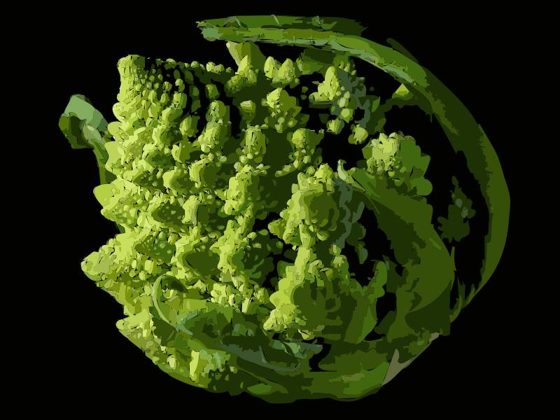 Fractal Broccoli