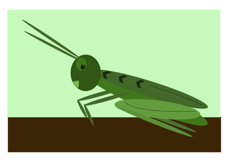 grasshopper