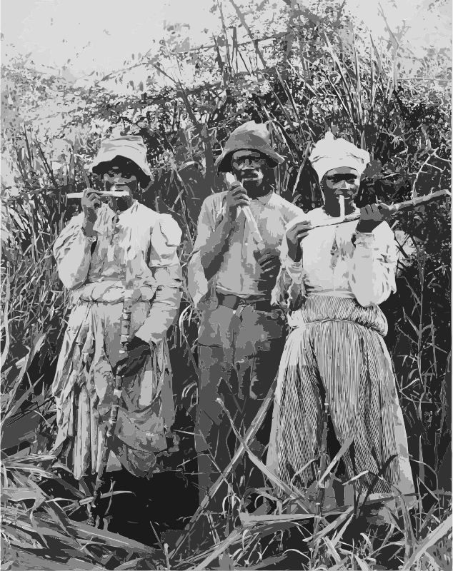 Cane cutters in Jamaica