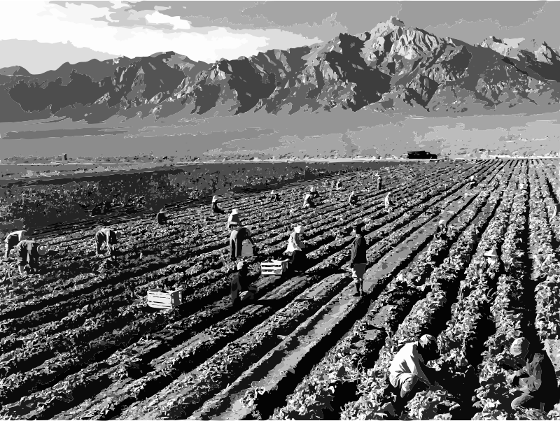 Ansel Adams - Farm workers and Mt. Williamson