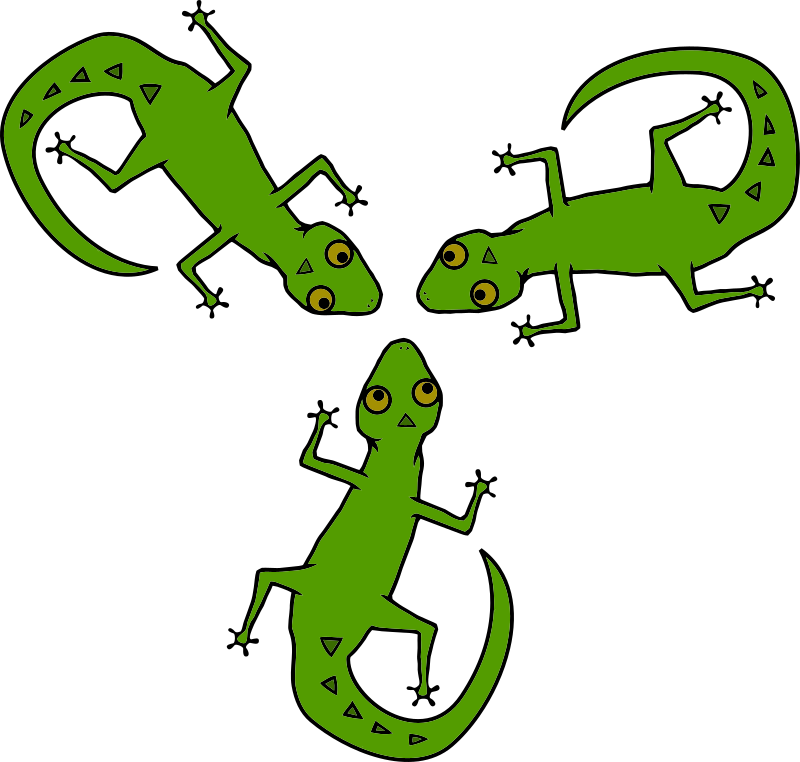 Lizards