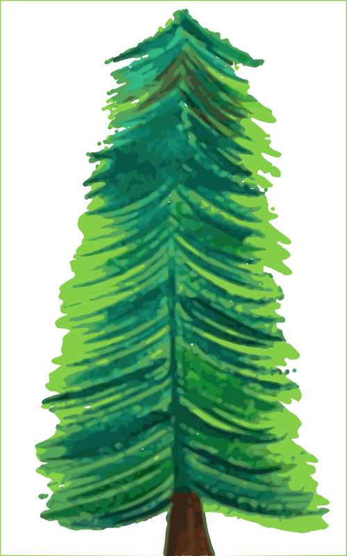 Transparent Background Christmas Tree COLOR