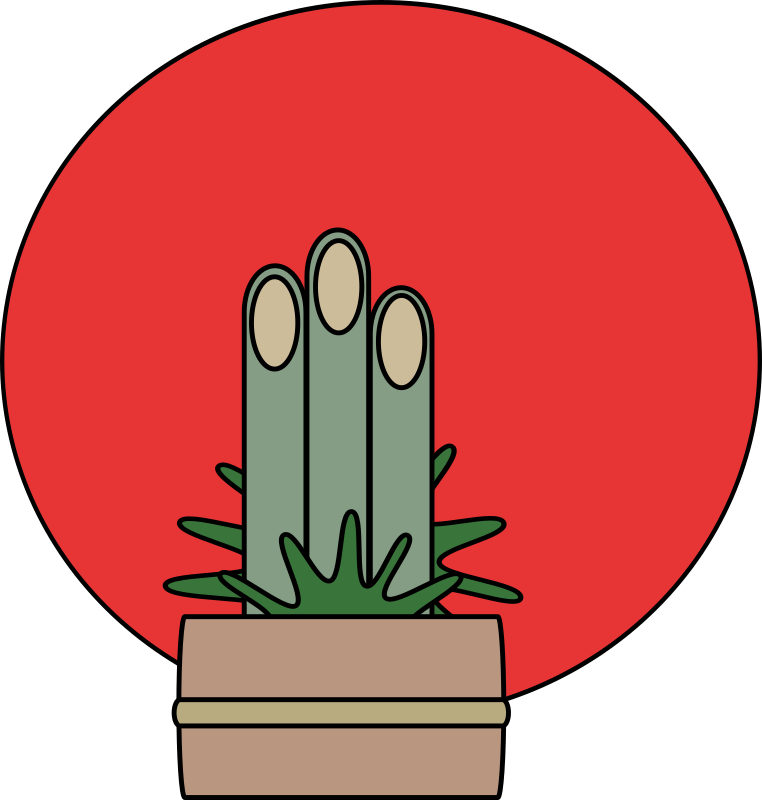 Kadomatsu