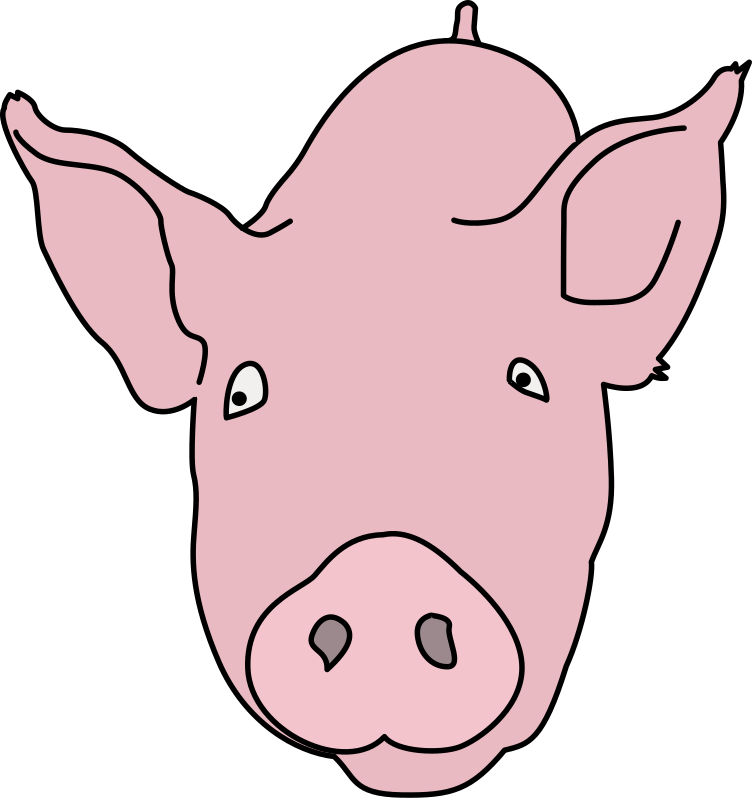 Pig Colour