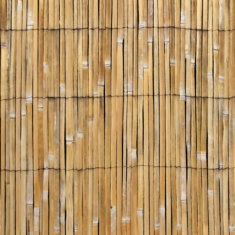 Cane fence