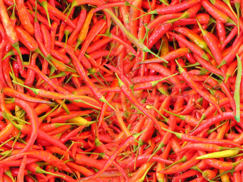 Chillies