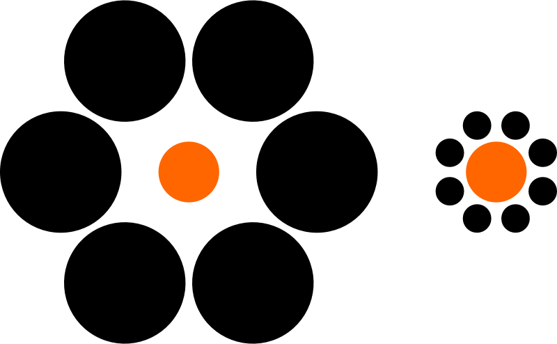 Ebbinghaus illusion