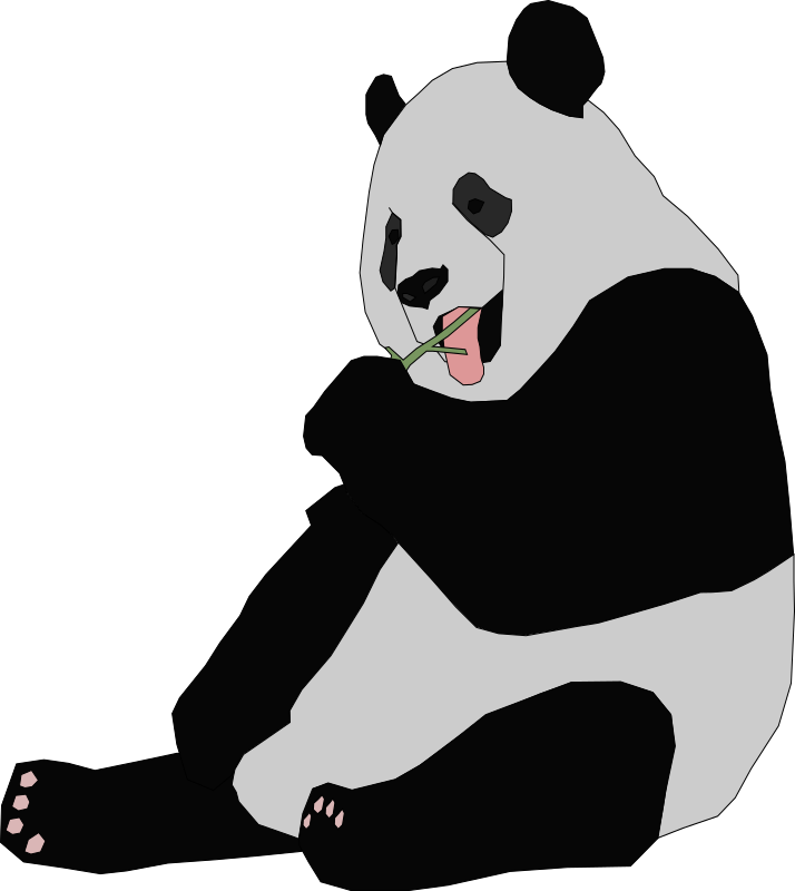 panda