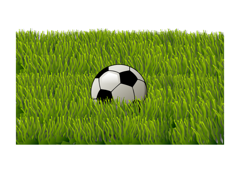 Soccer ball on grass