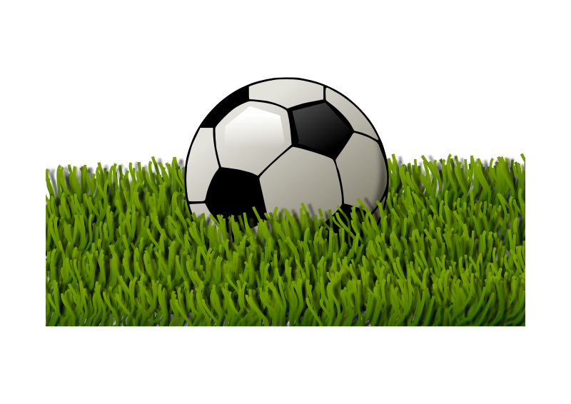 Soccer ball on grass 2