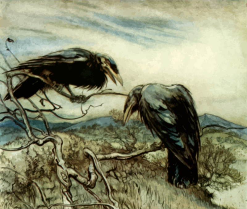 Crows