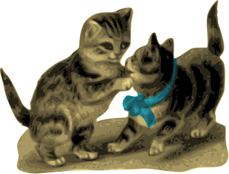 Kittens, One with Blue Ribbon