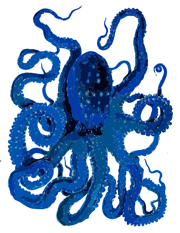 Blue Octopus