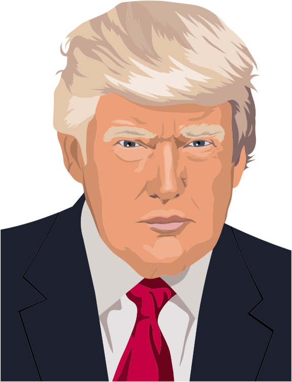 Donald Trump Portrait By Heblo