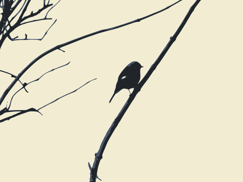 bird silhouette