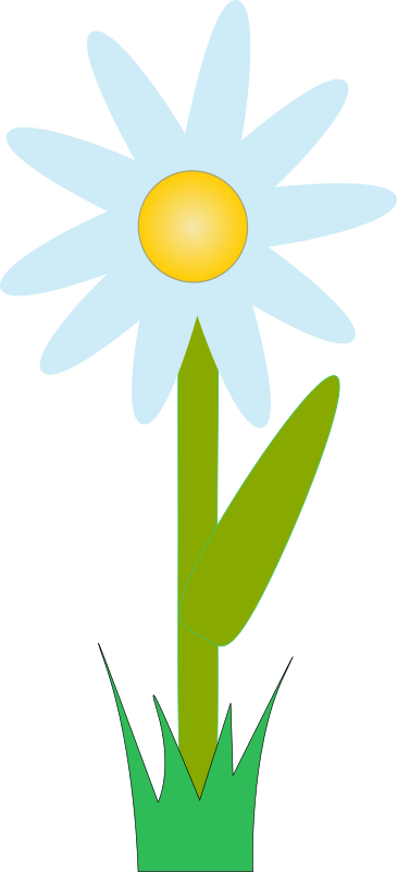 marguerite