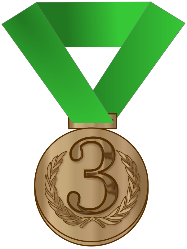 Bronze medal / award