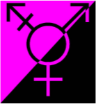 gender queer anarchy flag