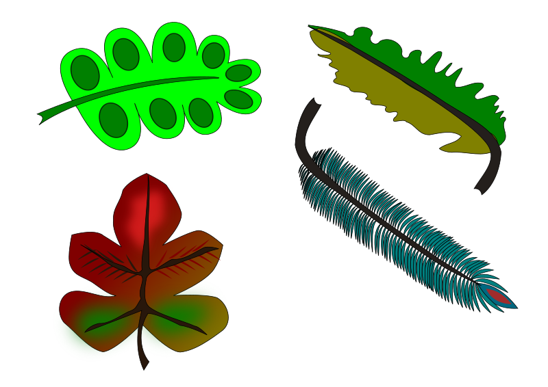 leaves and feather