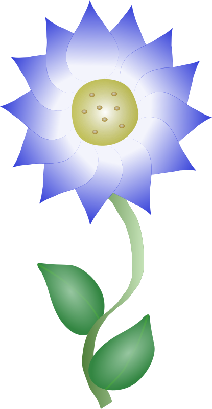 blue flower