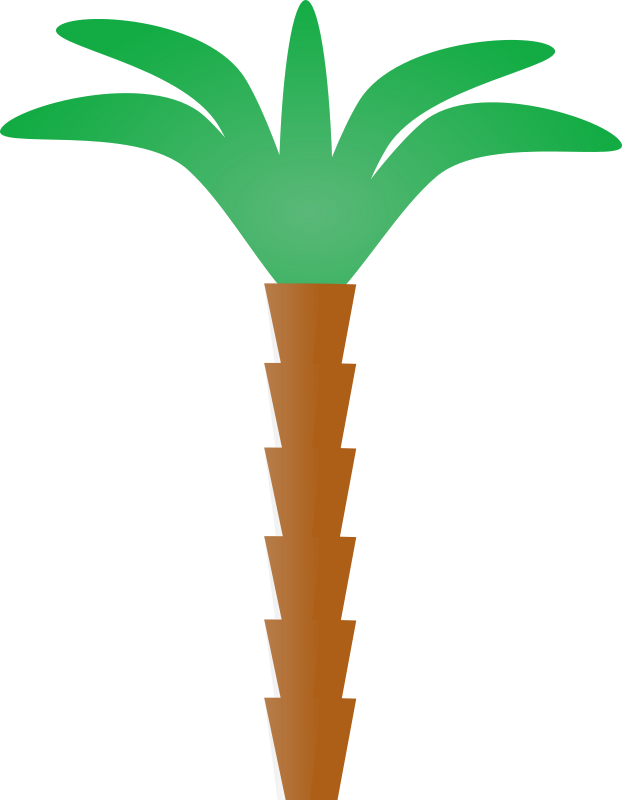 palm