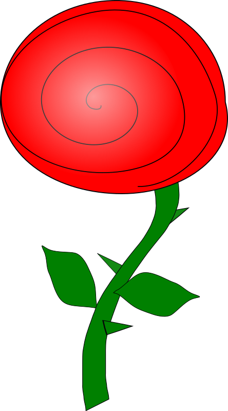 rose