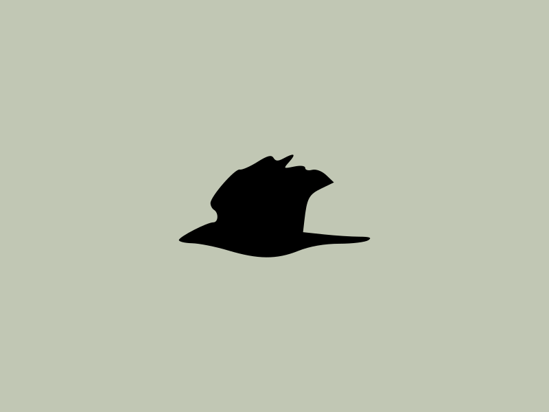 crow silhouette