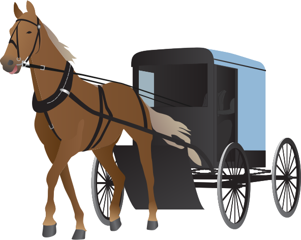 Amish Buggy and Horse