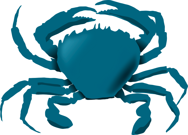 Blue Crab