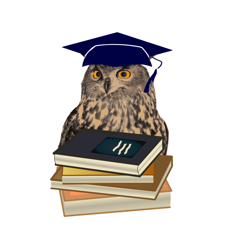 owl as wisdom symbol