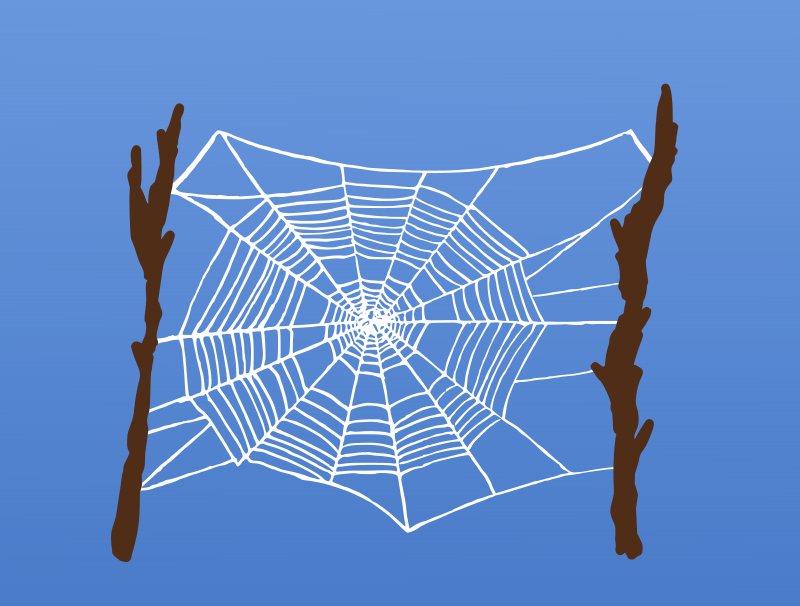 Colour Spider Web