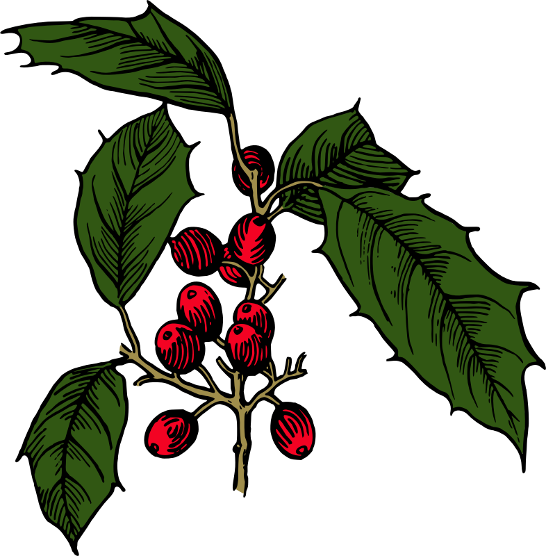 Holly (colour)